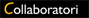 Collaboratori