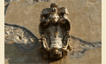 Villa Rusciano Firenze