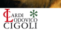 CIGOLI 400esimo anniversario della morte - 2013